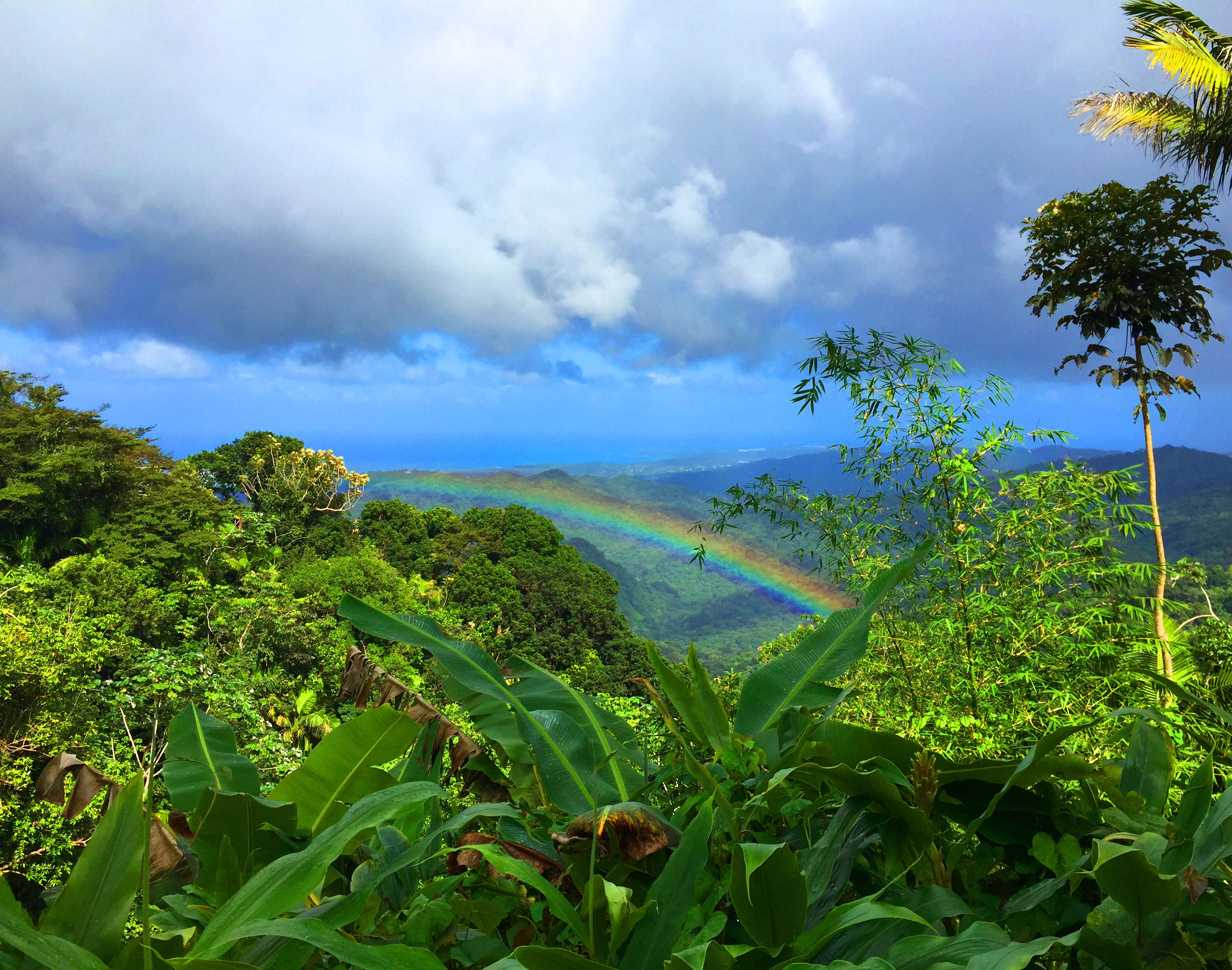 rainbow at El Yunke rainforest in Puerto Rico with clouds and foliage