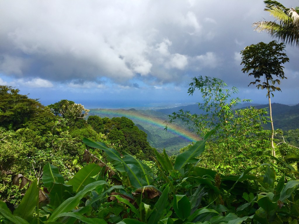 Travelogue, Puerto Rico, Day 2 (El Yunque and Mofongo)