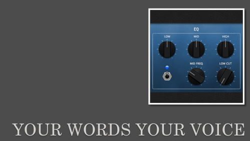 first slide image of Your Words Your Voice